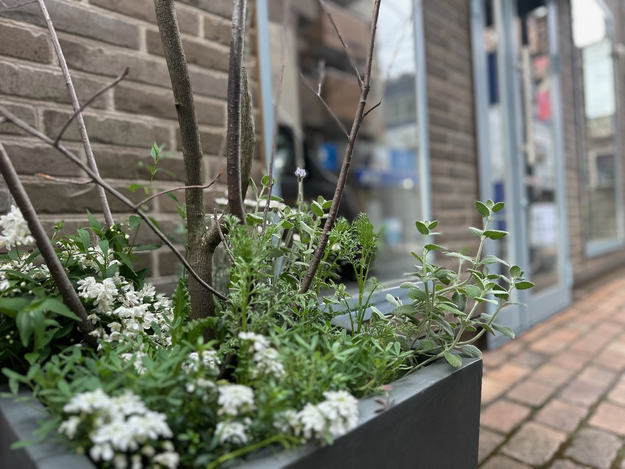 国立市Flower_shop